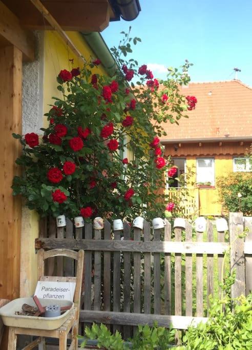 Strebersdorf Ferienhaus Mit Garten In Thermennaehe מראה חיצוני תמונה